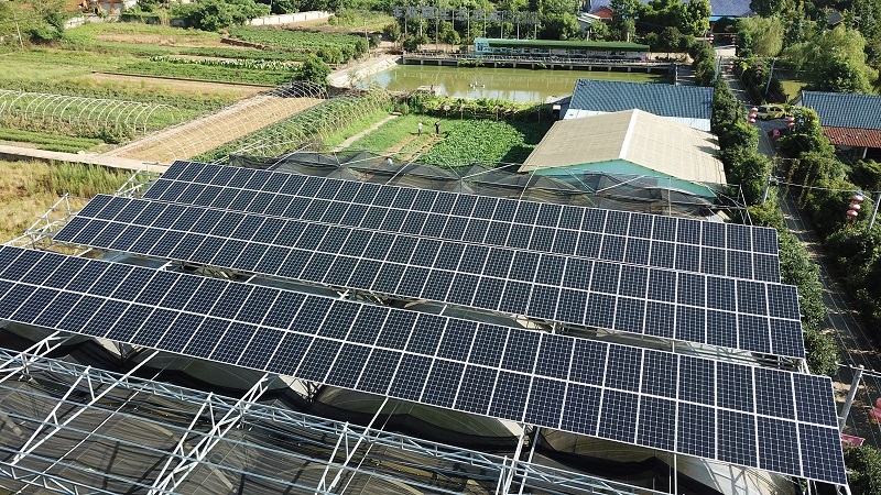 �������ɱ��������ļ�������