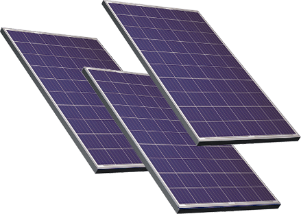 ����ϵ��