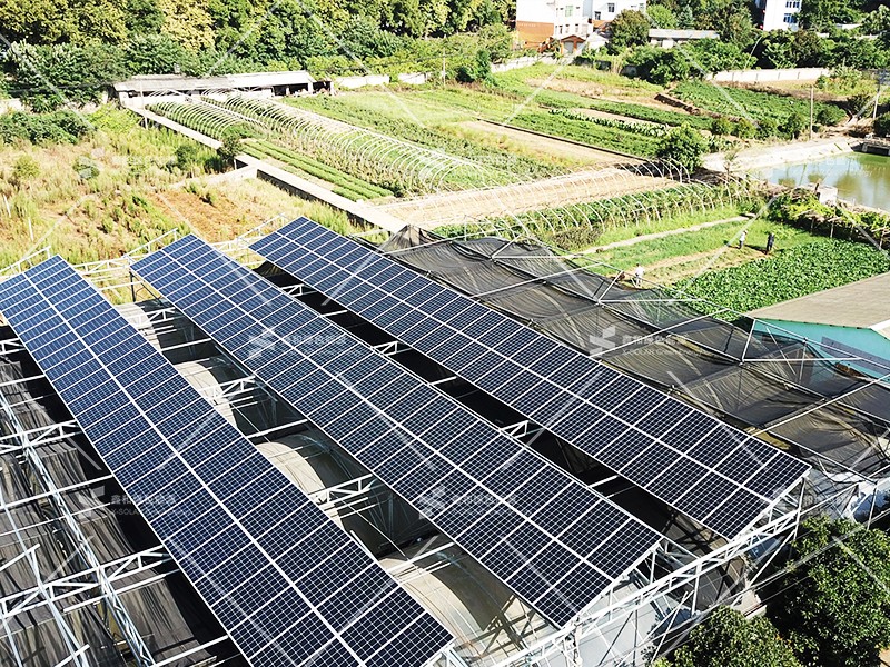 湖北Z6尊龙绿色能源有限公司 湖北Z6尊龙绿色能源有限公司