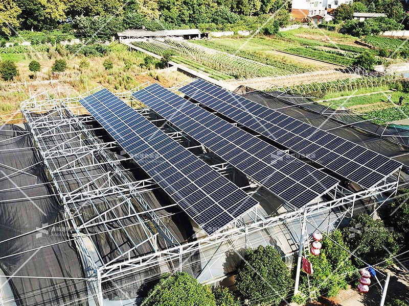 湖北Z6尊龙绿色能源有限公司 湖北Z6尊龙绿色能源有限公司