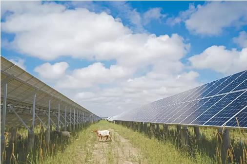 ����֤�ݣ������վʹ������Զ��25�꣡