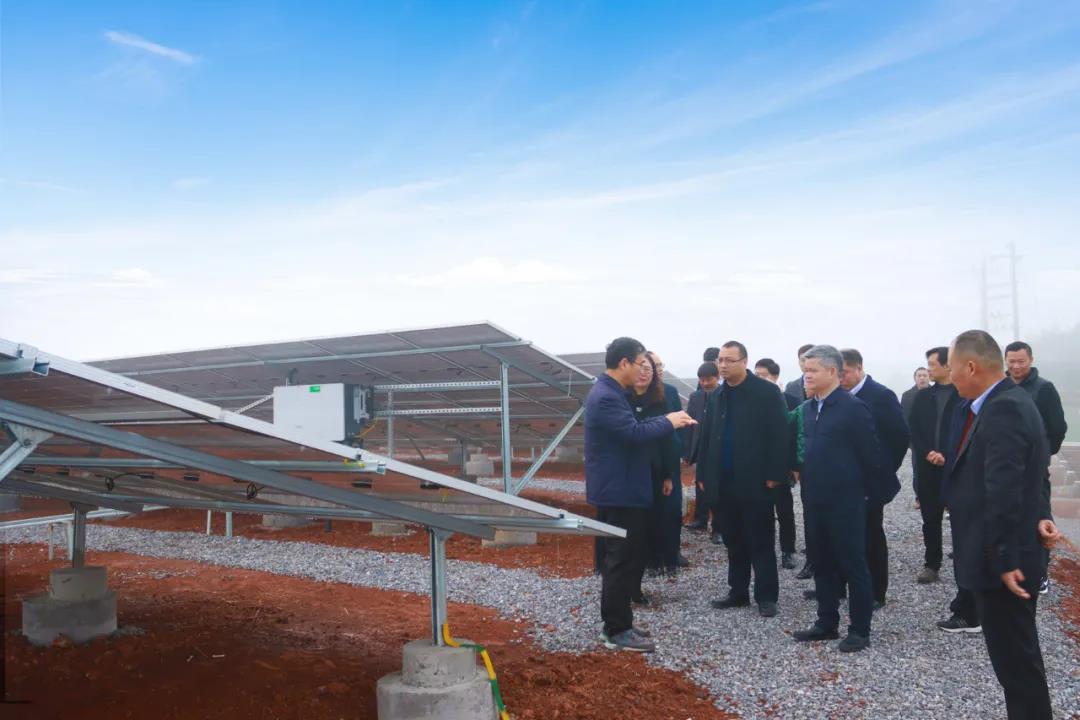 ����Z6������ɫ��Դ���޹�˾