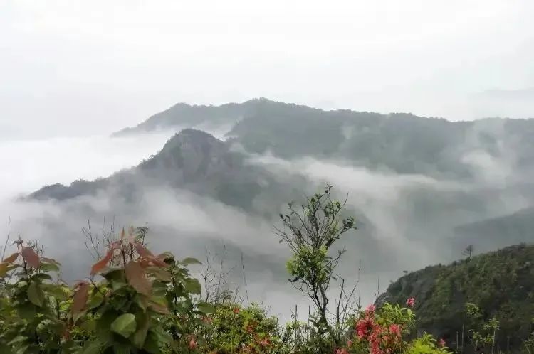 ����Z6������ɫ��Դ���޹�˾