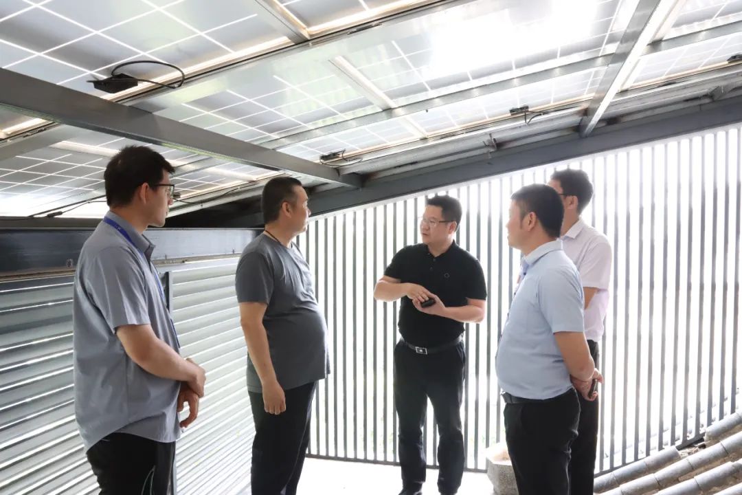 ����Z6������ɫ��Դ���޹�˾