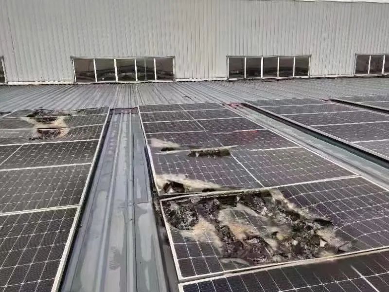 ����Z6������ɫ��Դ���޹�˾