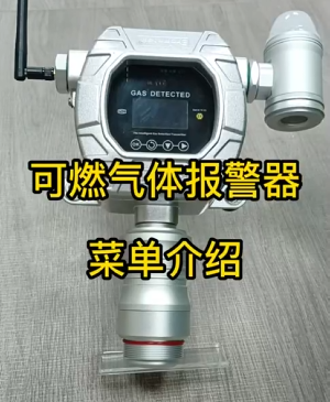 磁吸式可燃气体报警器MIC-600-L-Ex-A